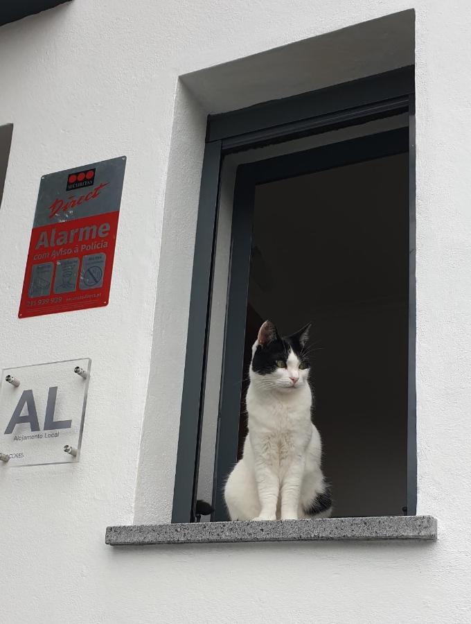 Appartement Caminhos Nos Levam Pela Ilha à Ponta Delgada Extérieur photo