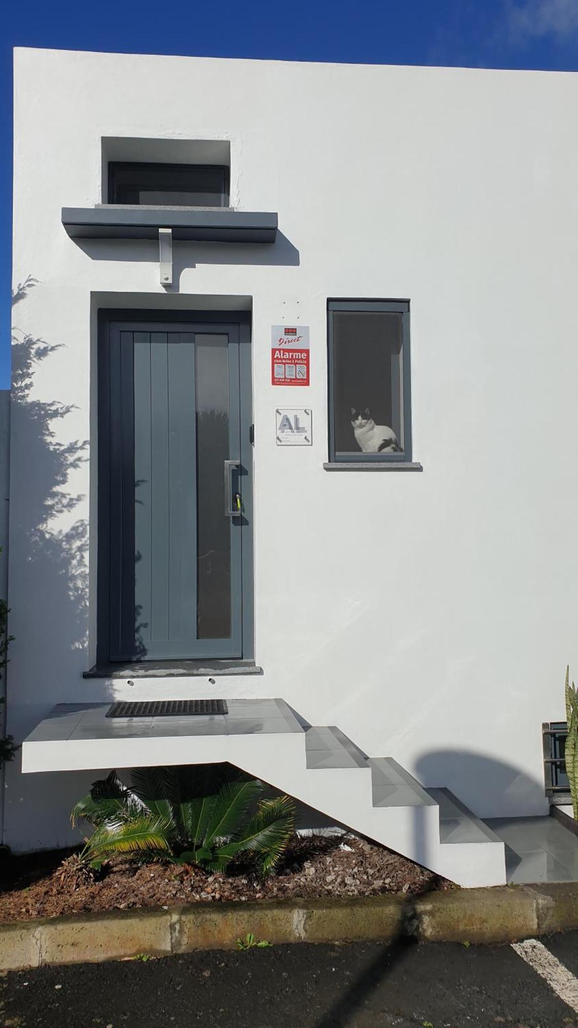 Appartement Caminhos Nos Levam Pela Ilha à Ponta Delgada Extérieur photo